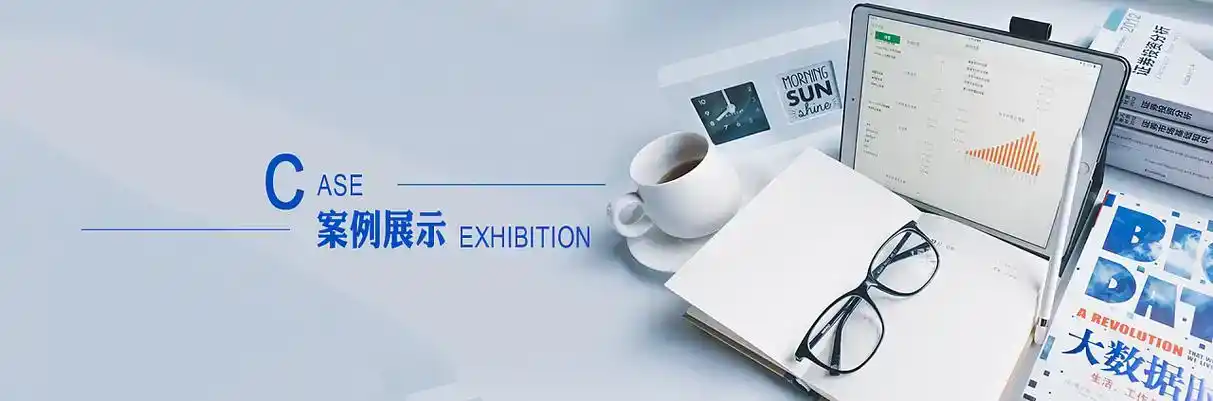龙州县软件开发